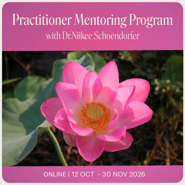 Practitioner Mentoring Program 2026