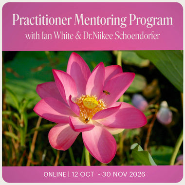 Practitioner Mentoring Program 2026