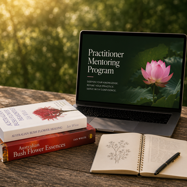 Practitioner Mentoring Program 2026