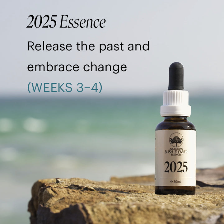 The Release & Rise Bundle