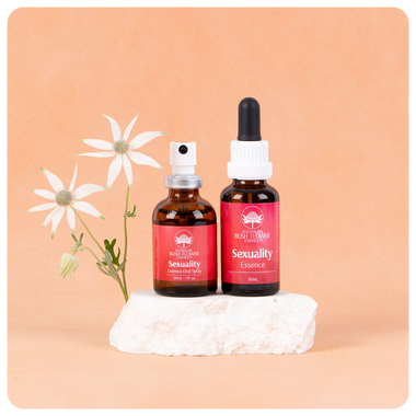 Sexuality Essence Bundle