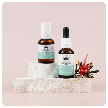 Sibling Harmony Essence Bundle