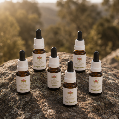 Single Essence Entry Kit of 6 - Australia