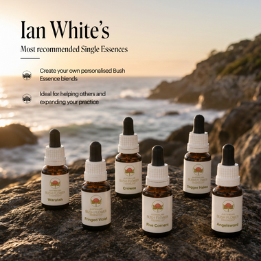 Single Essence Entry Kit of 6 - Australia