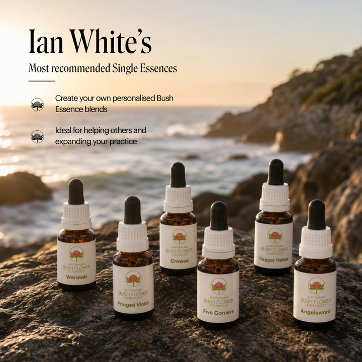 Single Essence Entry Kit of 6 - Australia