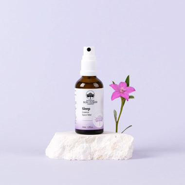 Sleep Essence Space Mist 50ml - Organic