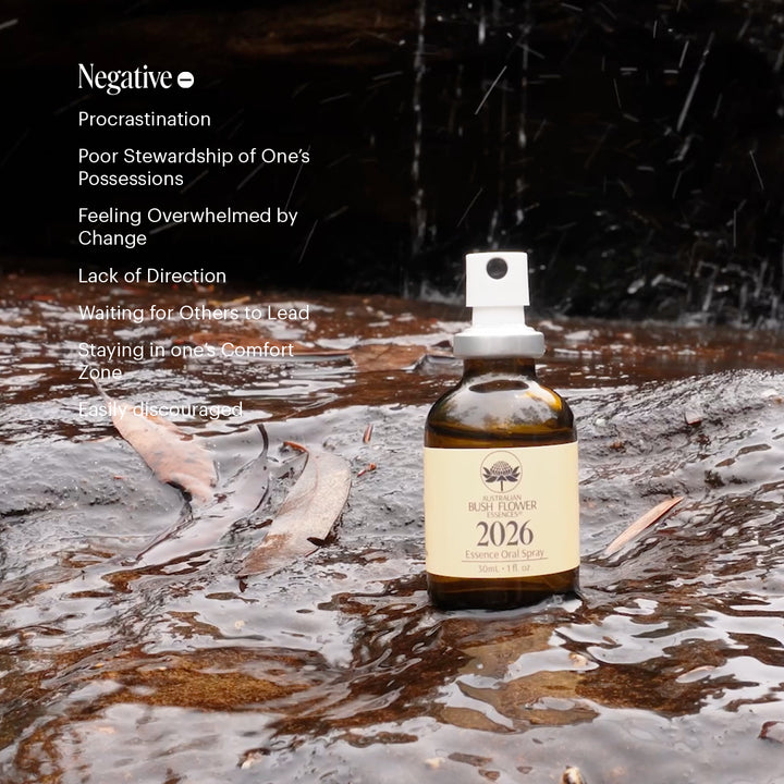 2026 Essence Oral Spray 30ml