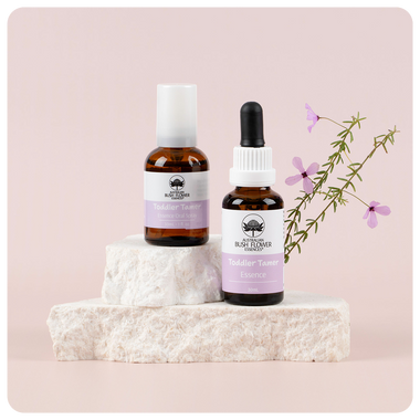 Toddler Tamer Essence Bundle