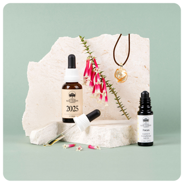 The Transformation Ritual