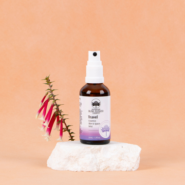Travel Space Mist 50ml - Organic