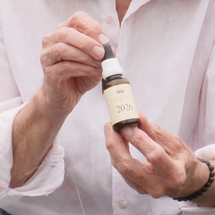 Universal Year 1 Alignment Bundle