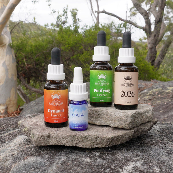 Universal Year 1 Alignment Bundle