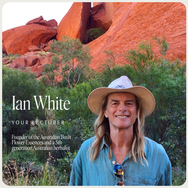 Women's Wellbeing Webinar