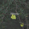 Hibbertia Bush Essence Qualities Video
