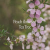 Peach-flowered Tea Tree Bush Essence Positive Qualities Video