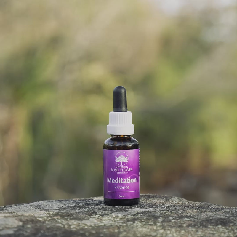 Meditation Essence – Australian Bush Flower Essences