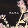 Mulla Mulla Bush Essence Positive Qualities Video