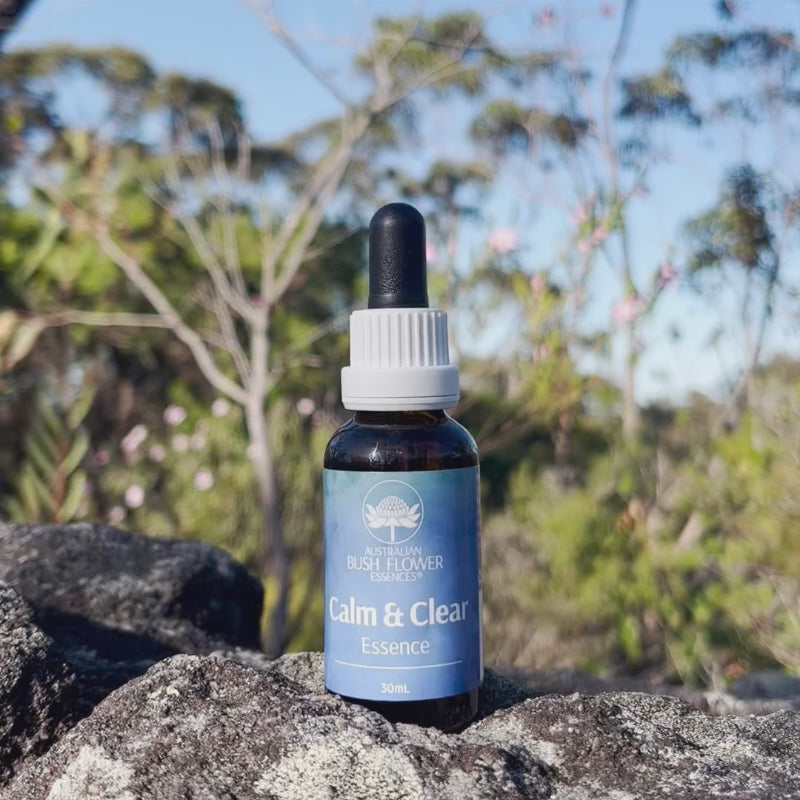 &A Clear ability Essence 80ml 2本セット &A Clear ability Essence 80ml 2本セット &A Clear ability Essence