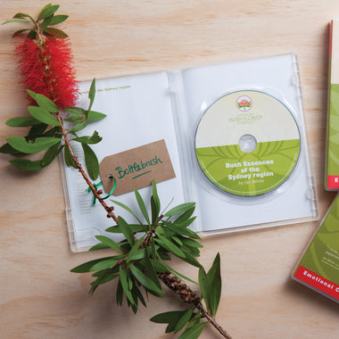 Bush Essences of the Sydney Region DVD